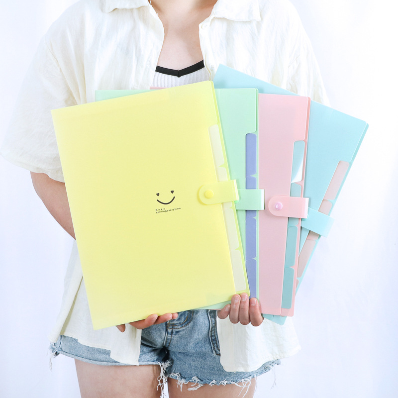 Korean 5-Pocket A4 Expanding F - đánh giá và giá Document Organizer Folder