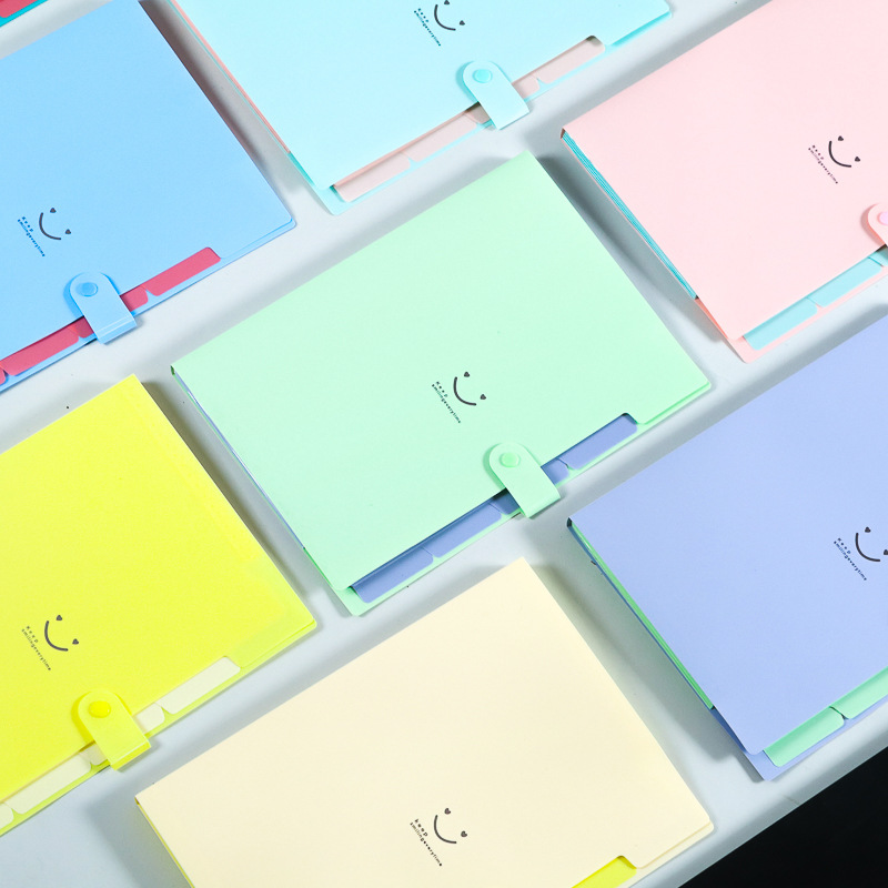 Korean 5-Pocket A4 Expanding F - đánh giá và giá Document Organizer Folder