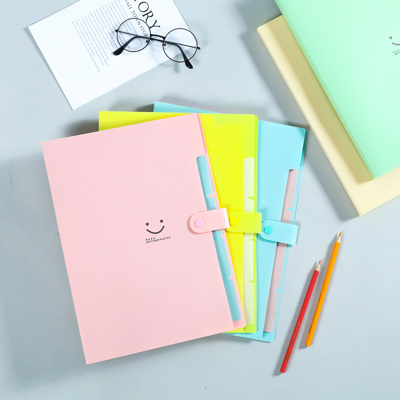 Korean 5-Pocket A4 Expanding F - đánh giá và giá Document Organizer Folder