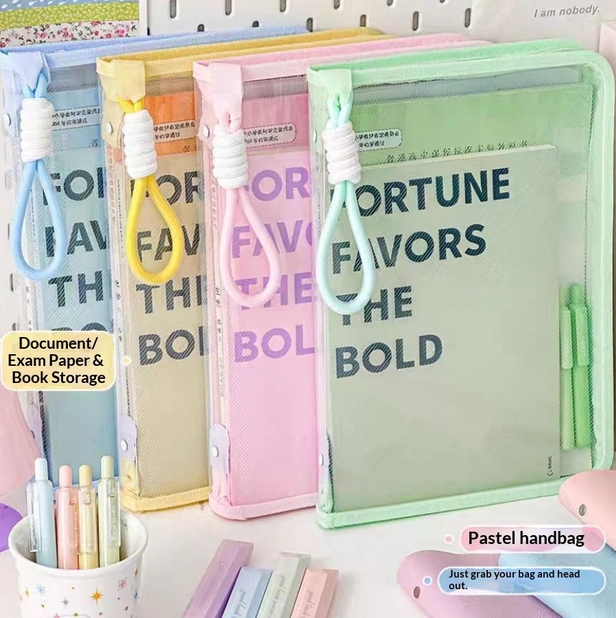 Document Bag Transparent with  - đánh giá và giá Document Organizer Folder